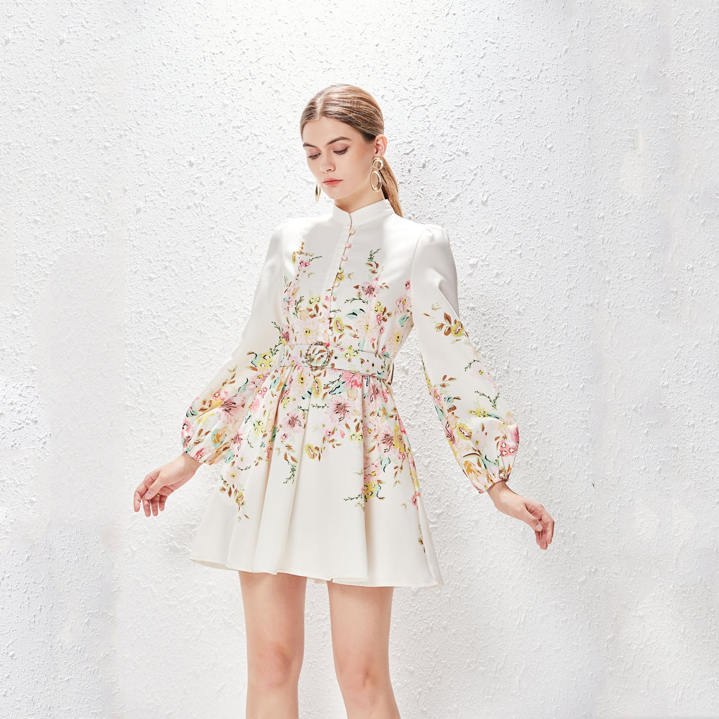 Elegant Stand Collar Lantern Sleeve Floral Mini Dress